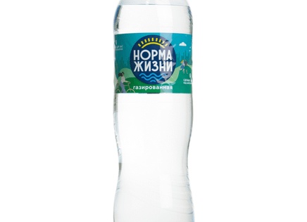 Норма жизни